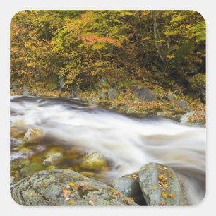 Roaring Brook in herfst in Vermont's Green Vierkante Sticker