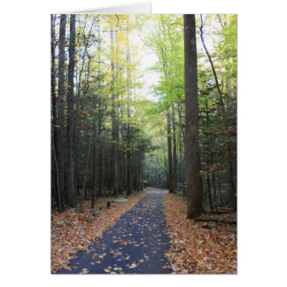 Roaring Fork in de Herfst