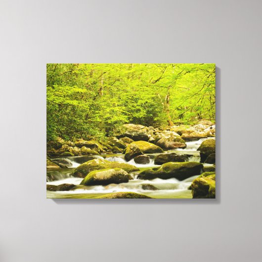 Roaring Fork in de lente Canvas Afdruk (Voorkant)
