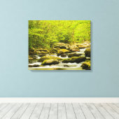 Roaring Fork in de lente Canvas Afdruk (Insitu (Houten vloer))