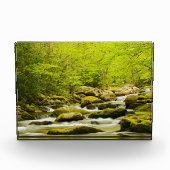 Roaring Fork in de lente Fotoblokken (Voorkant)