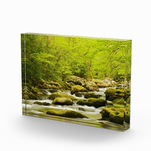Roaring Fork in de lente Fotoblokken (Rechts)