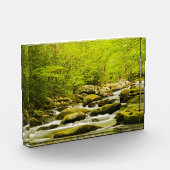Roaring Fork in de lente Fotoblokken (Links)