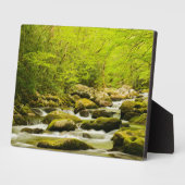 Roaring Fork in de lente Fotoplaat (Zijkant)