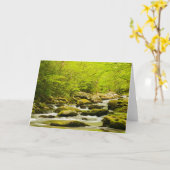 Roaring Fork in de lente Kaart (Gele Bloem)