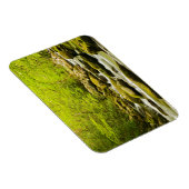 Roaring Fork in de lente Magneet (Rechterzijde)