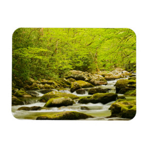 Roaring Fork in de lente Magneet