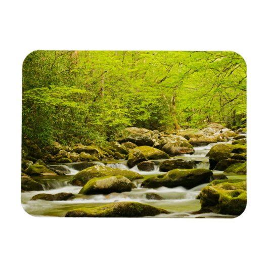Roaring Fork in de lente Magneet (Horizontaal)
