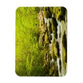 Roaring Fork in de lente Magneet (Verticaal)