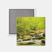 Roaring Fork in de lente Magneet (Voorkant / Achterkant)