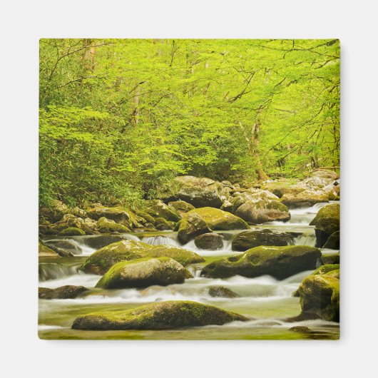 Roaring Fork in de lente Magneet (Voorkant)