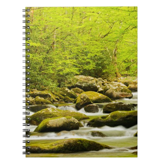 Roaring Fork in de lente Notitieboek (Voorkant)