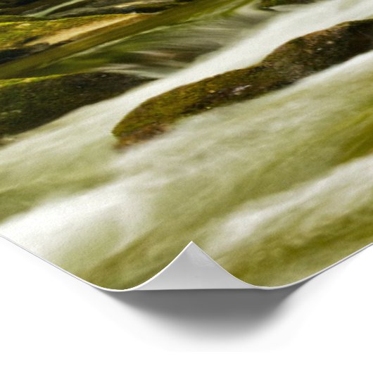 Roaring Fork in de lente Poster (Hoek)