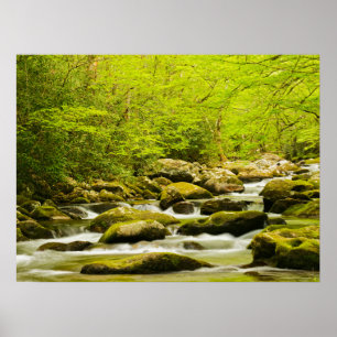 Roaring Fork in de lente Poster