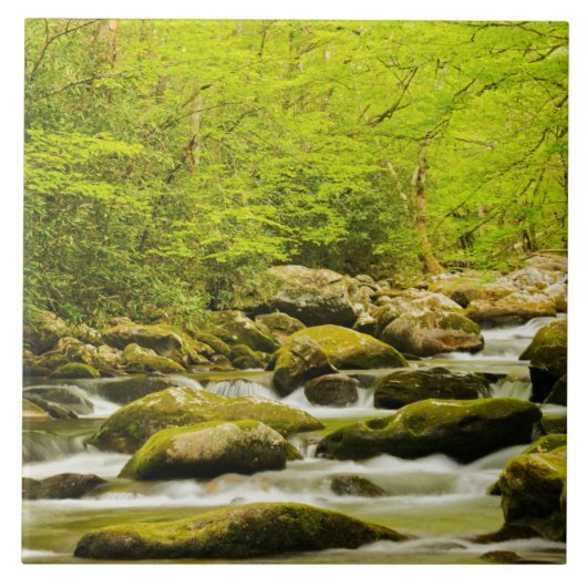Roaring Fork in de lente Tegeltje (Voorkant)