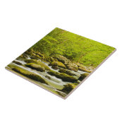 Roaring Fork in de lente Tegeltje (Zijkant)