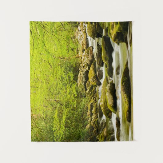 Roaring Fork in de lente Wandkleed (Voorkant)