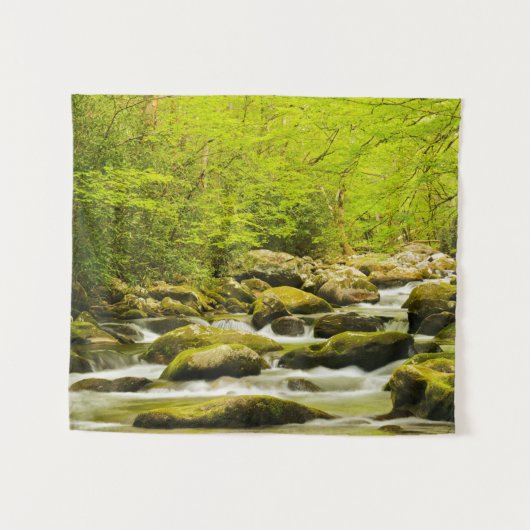 Roaring Fork in de lente Wandkleed (Voorkant (horizontaal))