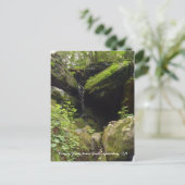 Roaring Forks Motor Trail - Gatlinburg, TN Briefkaart (Staand voorkant)