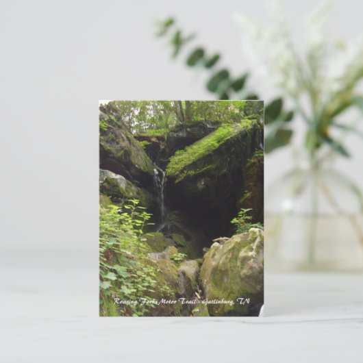 Roaring Forks Motor Trail - Gatlinburg, TN Briefkaart (Staand voorkant)