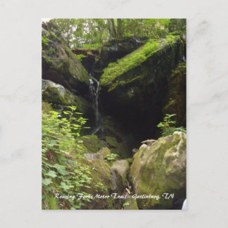 Roaring Forks Motor Trail - Gatlinburg, TN Briefkaart