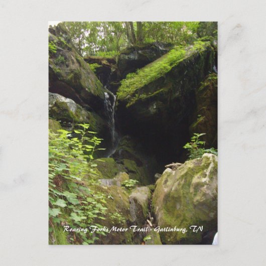 Roaring Forks Motor Trail - Gatlinburg, TN Briefkaart (Voorkant)