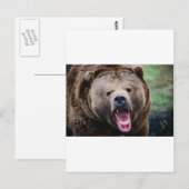 Roaring Grizzly Beer Briefkaart (Voorkant / Achterkant)