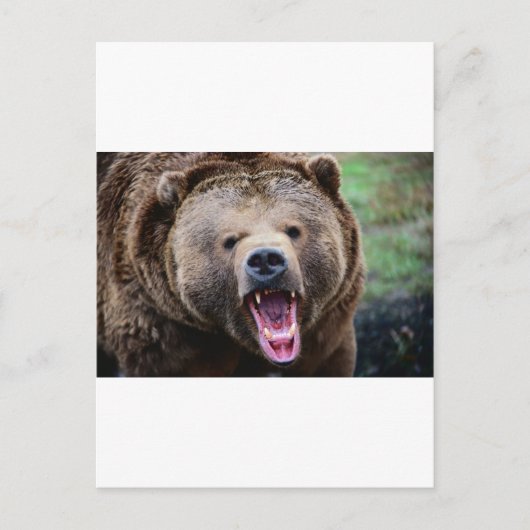 Roaring Grizzly Beer Briefkaart (Voorkant)