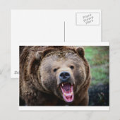 Roaring Grizzly Beer Briefkaart (Voorkant / Achterkant)