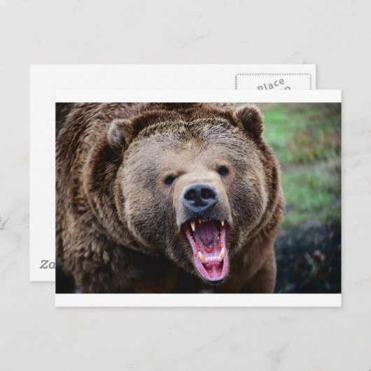 Roaring Grizzly Beer Briefkaart (Voorkant / Achterkant)