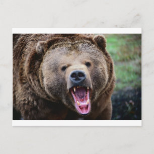 Roaring Grizzly Beer Briefkaart