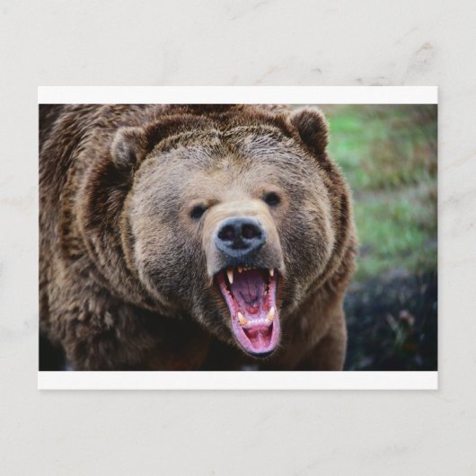 Roaring Grizzly Beer Briefkaart (Voorkant)
