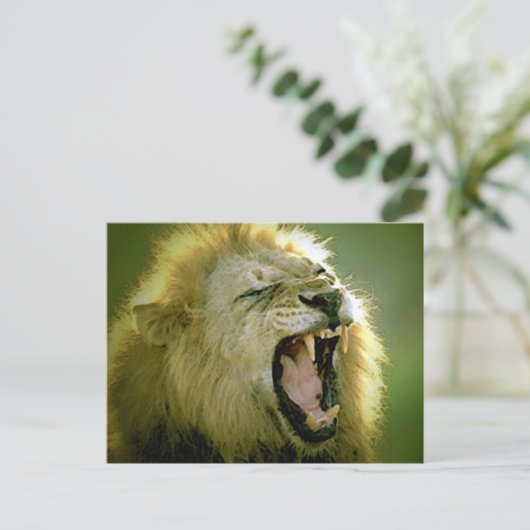 Roaring-leeuw Briefkaart (Staand voorkant)