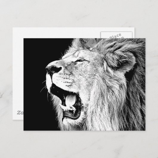 Roaring-leeuw Briefkaart (Voorkant / Achterkant)