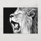 Roaring-leeuw Briefkaart (Voorkant)