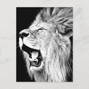 Roaring-leeuw Briefkaart