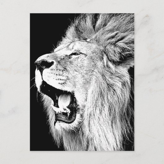 Roaring-leeuw Briefkaart (Voorkant)