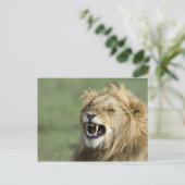 Roaring leun briefkaart (Staand voorkant)
