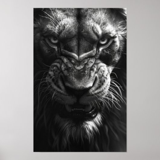 Roaring Lion Front Uitzicht Fotorealistisch Zwart  Poster (Voorkant)