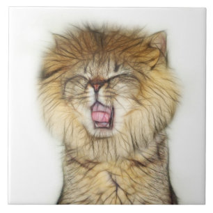 Roaring lion kitten tegeltje