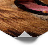 ROARING LION POSTER (Hoek)