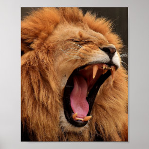 ROARING LION POSTER