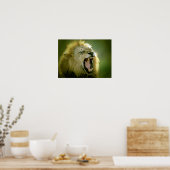 Roaring Lion Poster - Animal Photography Art (Keuken)
