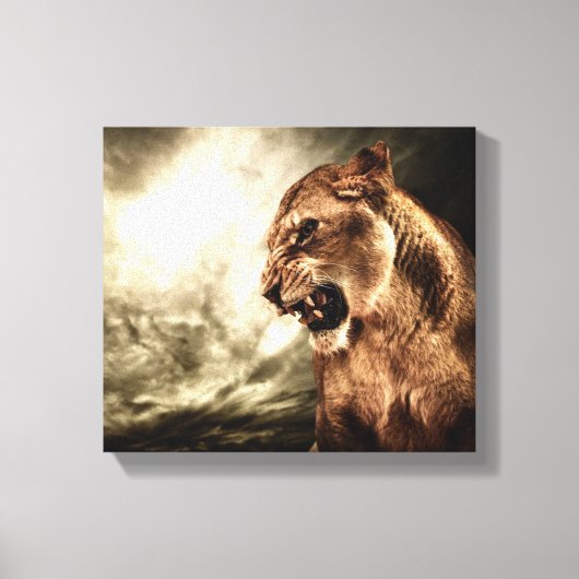 Roaring lioness against stormy canvas afdruk (Voorkant)