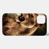 Roaring lioness against stormy Case-Mate iPhone case (Achterkant (horizontaal))