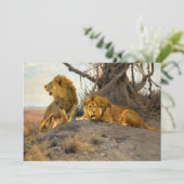 Roaring Lions | Wilhelm Kuhnert (Staand voorkant)