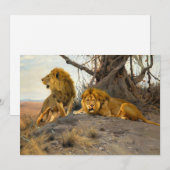 Roaring Lions | Wilhelm Kuhnert (Voorkant / Achterkant)