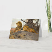 Roaring Lions | Wilhelm Kuhnert Kaart (Voorkant)