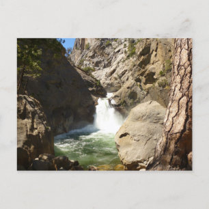 Roaring River Falls in Kings Canyon National Park Briefkaart