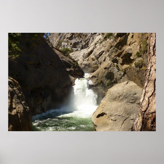 Roaring River Falls in Kings Canyon National Park Poster (Voorkant)